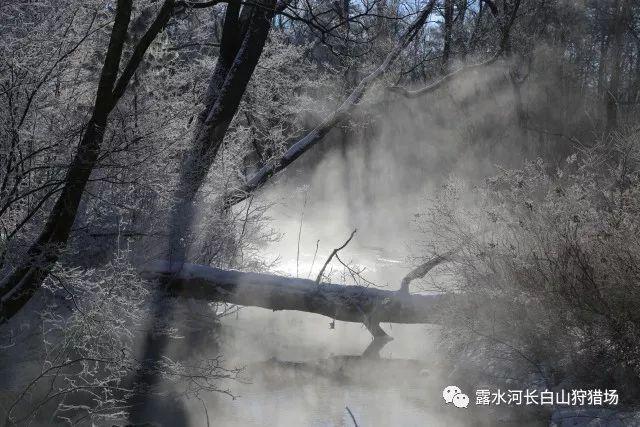 圆通快递快吗游戏画面